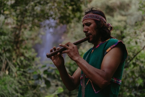 całonocna ceremonia ayahuasca