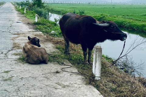 Hoi An: Morning Bike Tour - Rice Wine, Lunch & Villages Group Tour