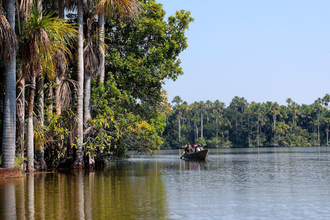 Tambopata River Parrot and Macaw Photography Tour