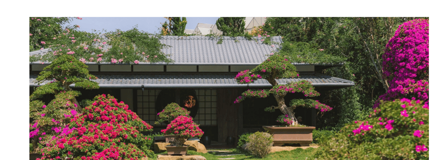 Visite d'une journée complète : Mongoland vs Mario-kart, Village de la ferme apicole.
