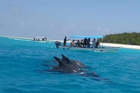 Zanzibar: Mnemba Island & Natural Lagoon Tour Mnemba Island Dolphin Tour & Sea Tortoise Aquarium Tour
