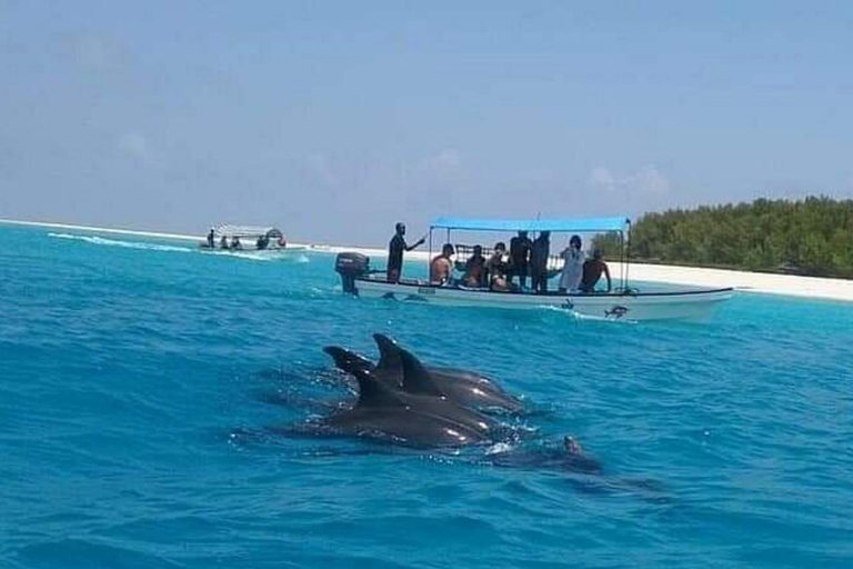 Zanzibar: Mnemba Island & Natural Lagoon Tour Mnemba Island Dolphin Tour & Sea Tortoise Aquarium Tour