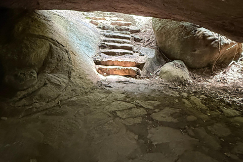 From Colombo: Cave Temples, Jungle Trek & Waterfall Swim