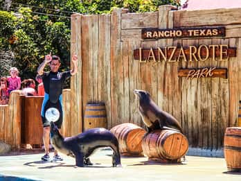 Puerto del Carmen: Rancho Texas Lanzarote Park Entry Ticket