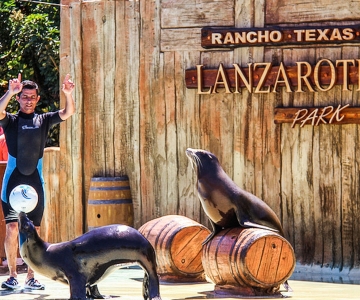 Puerto del Carmen: Rancho Texas Lanzarote Park Entree Ticket