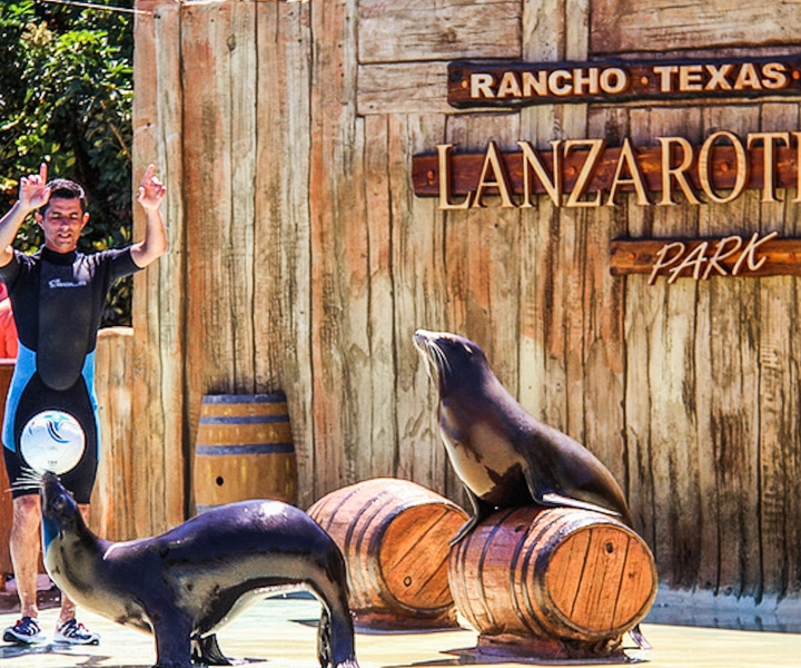 Rancho Texas Lanzarote Park Entrance Ticket