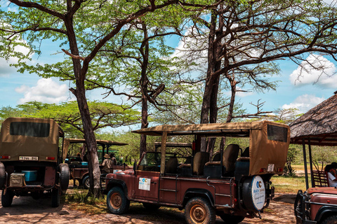 From Zanzibar: Overnight Selous G.R. Safari with Flightsshared safari