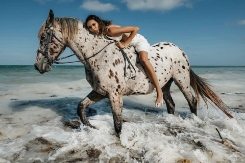 Zanzibar: Passeio a cavalo e natação com tartarugas