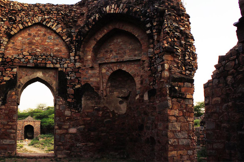 Visita rústica a Delhi y sáltate las trampas para turistas