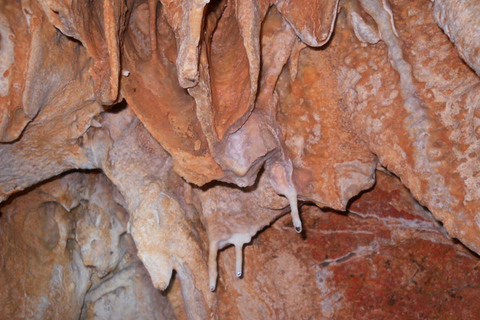 Tunezyjska przygoda: Jaskinie, przyroda i kultura w 5 dni