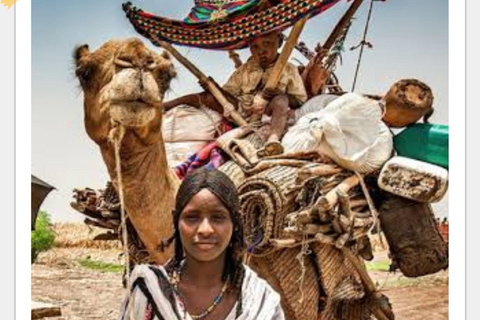 Semera: Nomadenstamm der Afar und Danakil-Wüste mit ortskundigem Guide