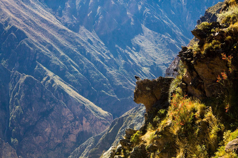 VISITE À LA JOURNÉE DU CANYON DE COLCA PETITS GROUPES