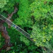 Chiang Mai: Mae Kampong Village, Teddu Coffee & Hot Springs