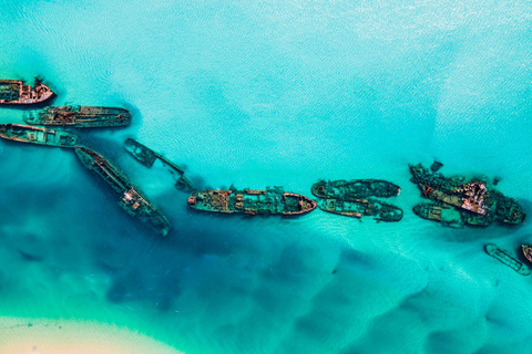 Gold Coast: Escursione di un giorno a Moreton Island con traghetto e snorkeling