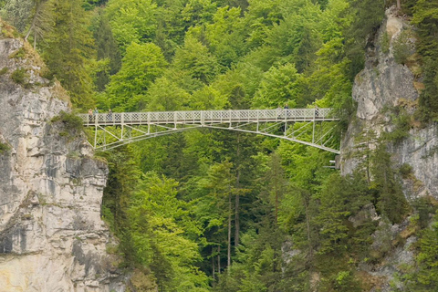 Neuschwanstein Private Half-Day Tour from Munich with Guide Neuschwanstein Half-Day Tour from Munich