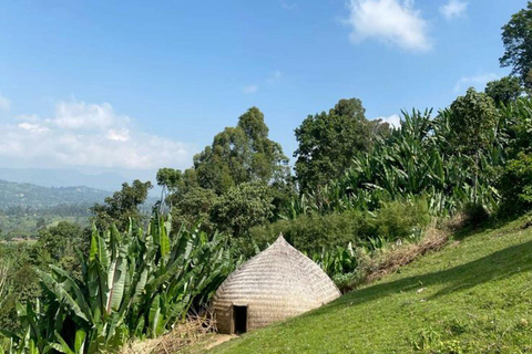 Simien Mountains: Gelada Baboon Kingdom & Grand Escarpment