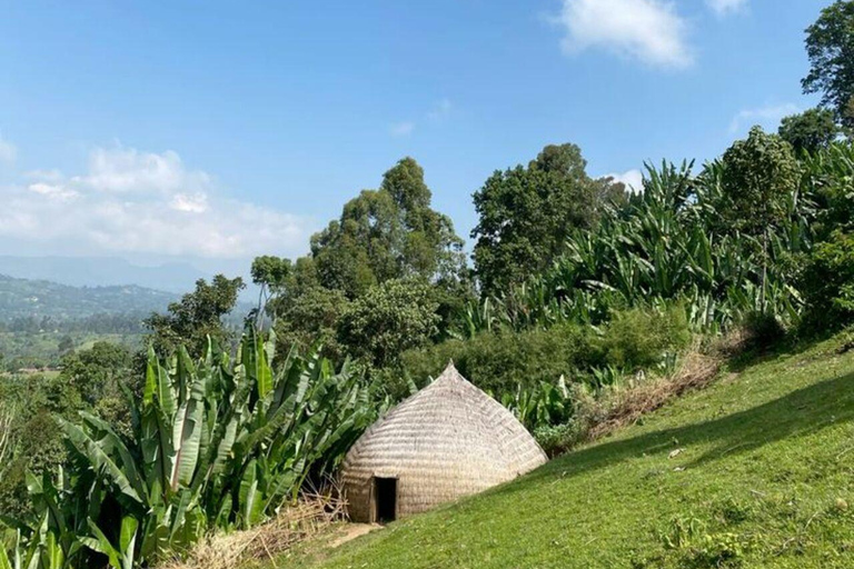 Simien Mountains: Gelada Baboon Kingdom & Grand Escarpment