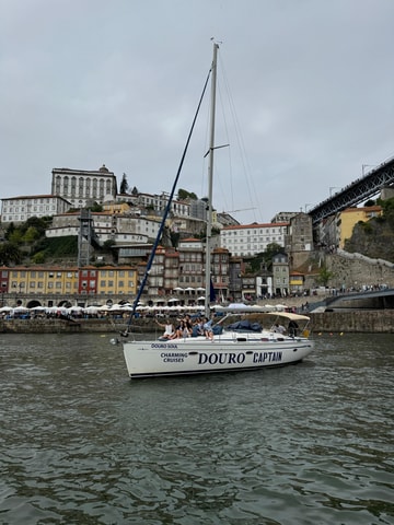 Porto: Private Douro River Charming Cruise w/wine tasting 8p