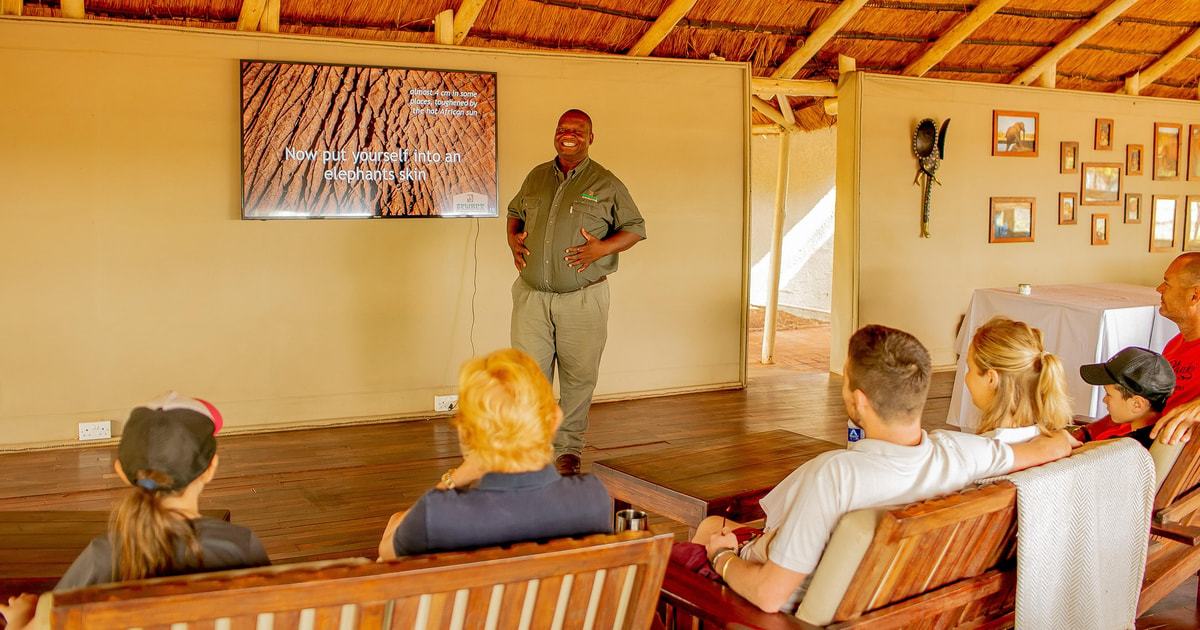 Victoria Falls: Elecrew Through The Eyes Of An Elephant | GetYourGuide