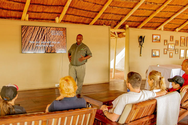 Victoria Falls: Elecrew Through The Eyes Of An Elephant