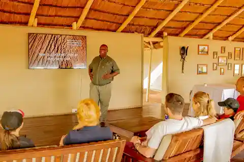 Victoria Falls : Elecrew à travers les yeux d'un éléphant