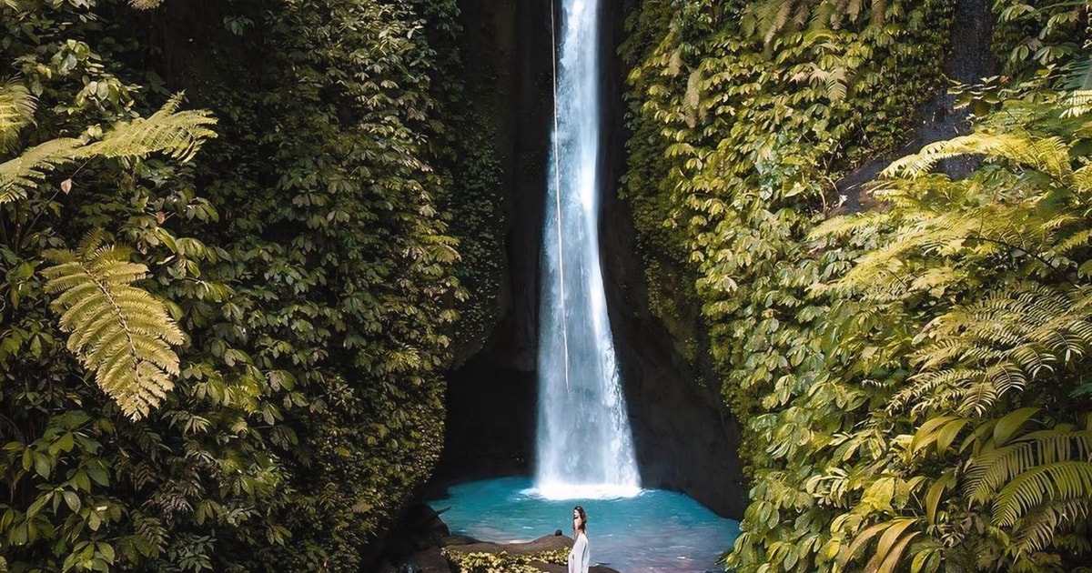 Bali Découvrez les cascades de la jungle et les rizières en terrasses