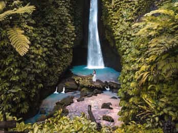 Bali : Découvrez les cascades de la jungle et les rizières en terrasses
