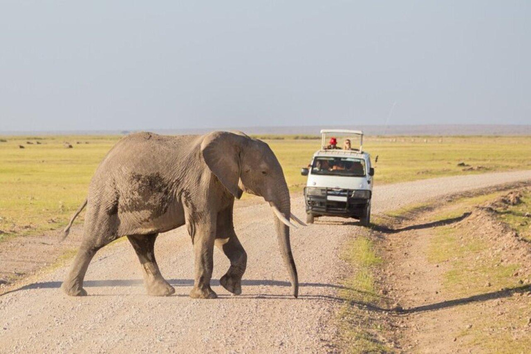 Mombasa/Diani: Private Overnight Tsavo East Safari