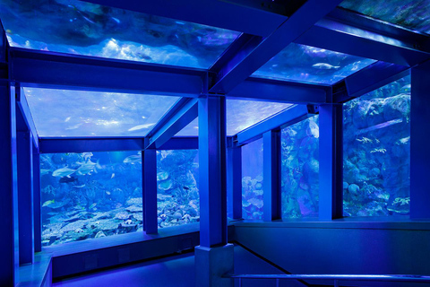 Nagoya Return, Ise Shrine, Mikimoto Pearl Island & Toba Tour