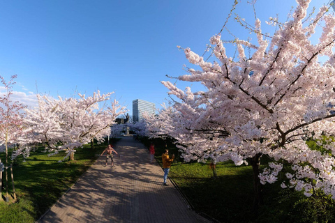 Virtual reality movie - experience I AM LITHUANIA