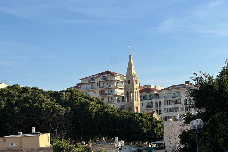 Tel Aviv: Private Highlights Tour with Driver