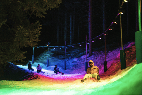 From Zurich: Alpine Mario Kart Light Ride — Snow & Stars