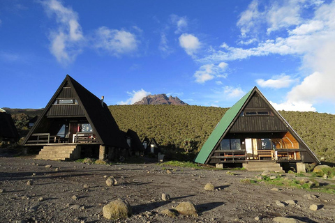 Randonnée d'une journée au Mont Kilimandjaro