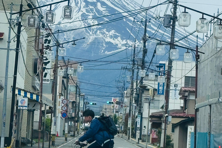Tokyo: Private Daytrip to Mount Fuji - Fully Customizable Mt Fuji Private Luxury Van Tour (Customizable Experience)