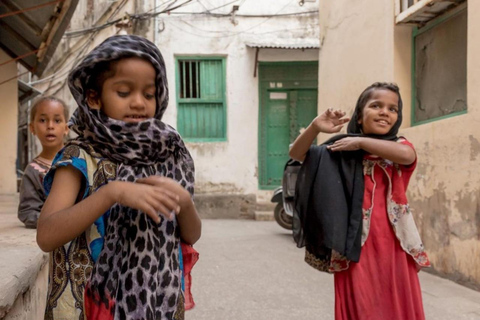 Pemba: Privétour met gidsZanzibar: Salaam Cave Aquarium en Stone Town wandeltour