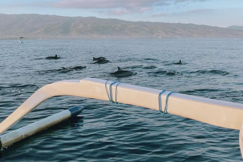 Excursion à Lovina pour observer les dauphins au lever du soleil et faire de la plongée en apnée