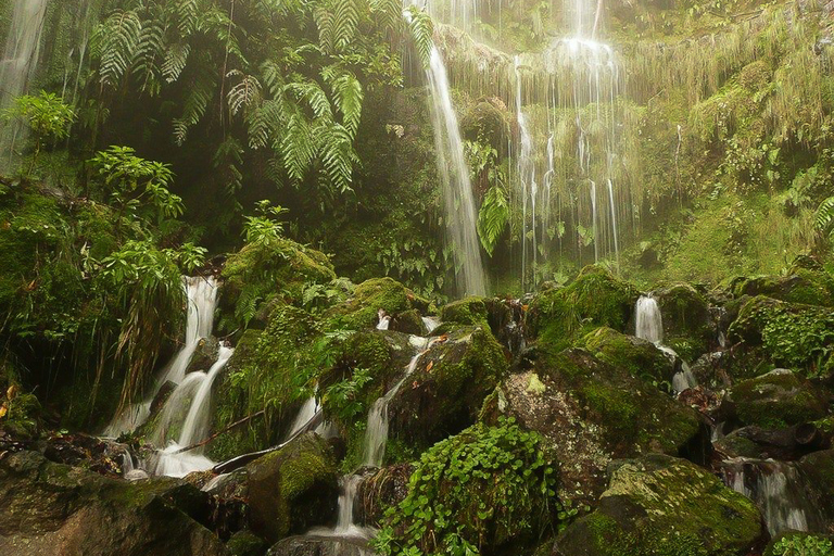 Madeira: Levada-wandeling en Caldeirão Verde-watervallen