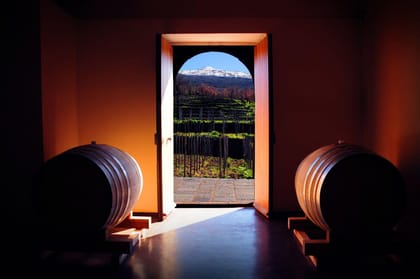 Etna Wine Express: 2 Glasses to get to know Nerello