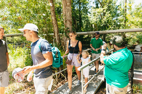 Nouvelle-Orléans : Visite du Bayou dans le parc national Jean LafitteLa Nouvelle Orléans : excursion dans la réserve Jean Lafitte