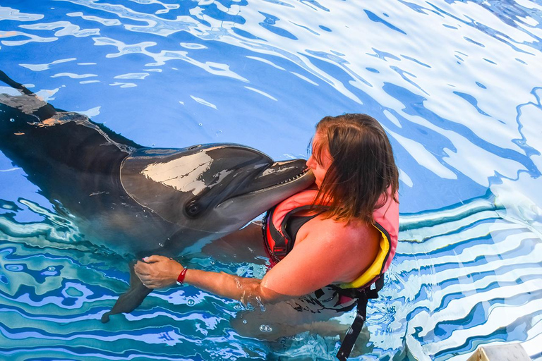 Hurghada: Nadar en familia con delfines