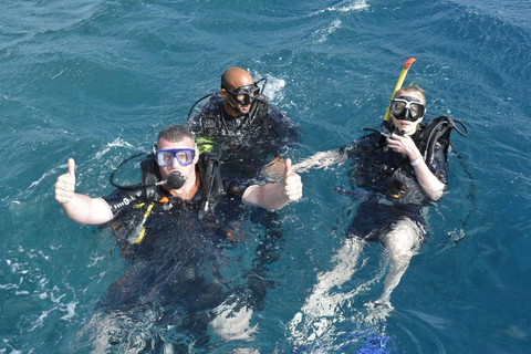 Ganztägige Schnorchel- und Inseltour mit LuxuskreuzfahrtRuhige Flucht auf die Insel Mahmya