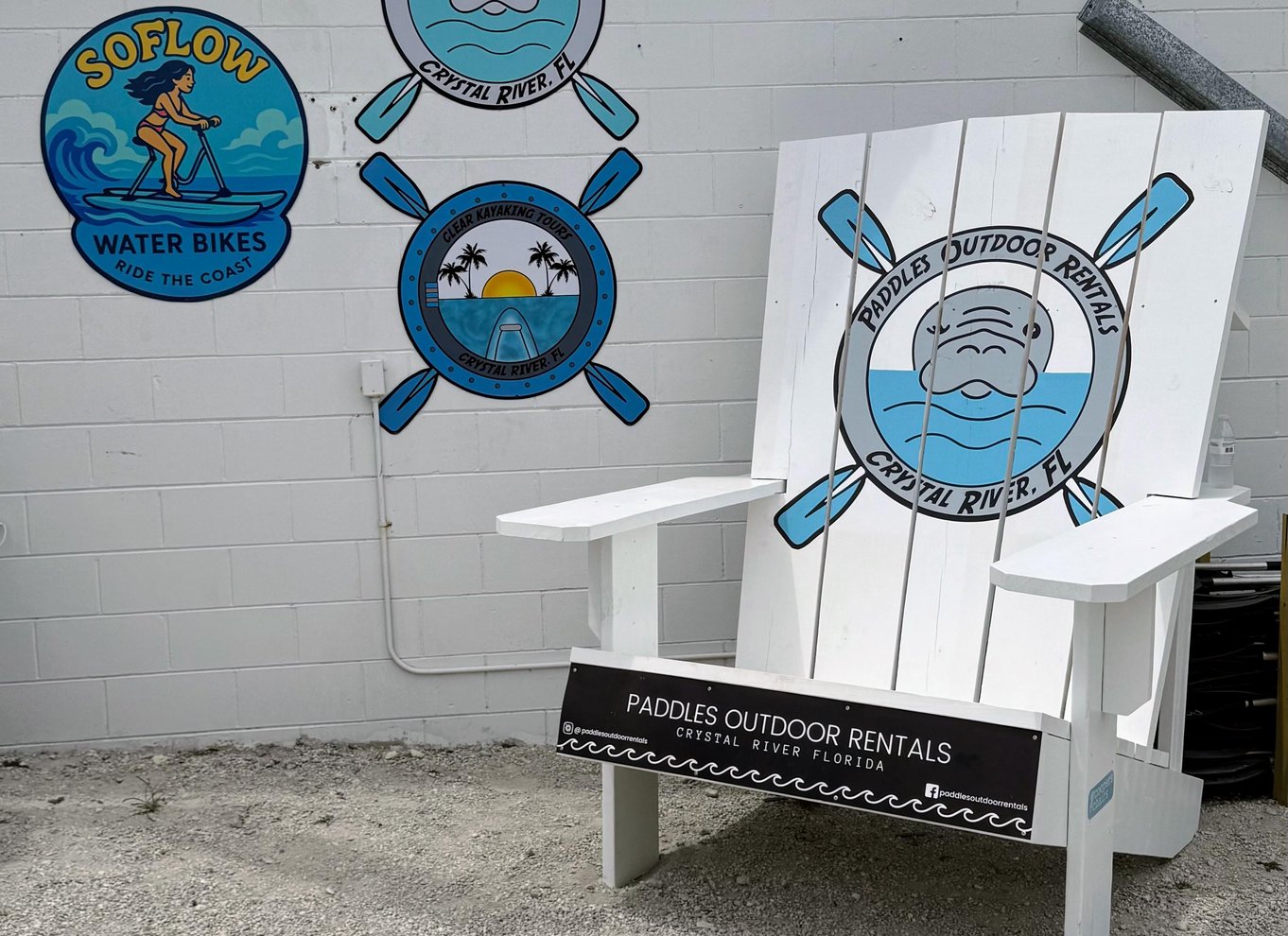 Crystal River: Three Sisters Springs Eco Tour med gennemsigtig kajak