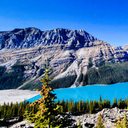 Calgary: Gletscher, Berge, Seen, Canmore und Banff Tour