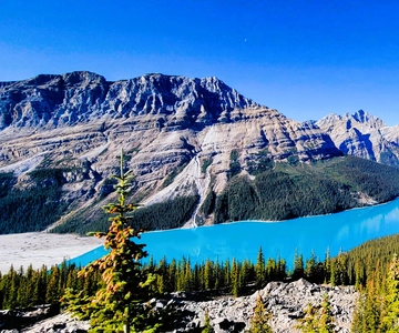 Calgary: Glaciers, Mountains, Lakes, Canmore and Banff Tour