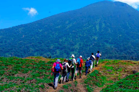 Kigali: Bisoke Volcano Hike & Gorilla Guardians Tour