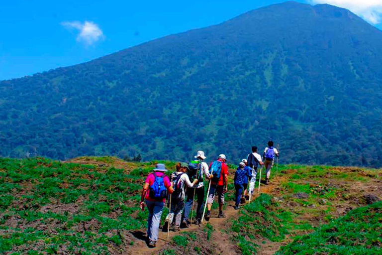 Kigali: Bisoke Volcano Hike & Gorilla Guardians Tour