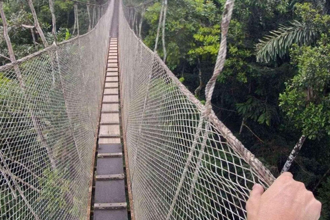 Aventure extrême I - Iquitos | Pont suspendu + Canopée