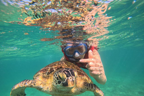 Mirissa Day Tour with Dolphins, Turtles & Beach Time Pick up from Colombo or Negombo City