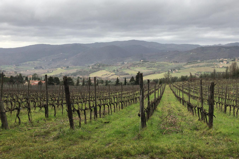 Desde Florencia: tour privado de Chianti Rufina y degustación de comidaChianti Rufina: tour privado y degustaciones de productos locales