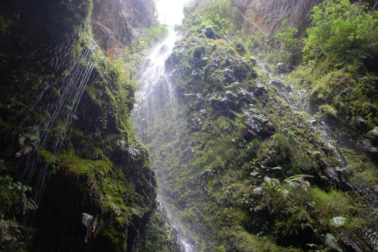 Bogotà: Esplora la foresta e fai birdwatching nel Parco Naturale Chicaque